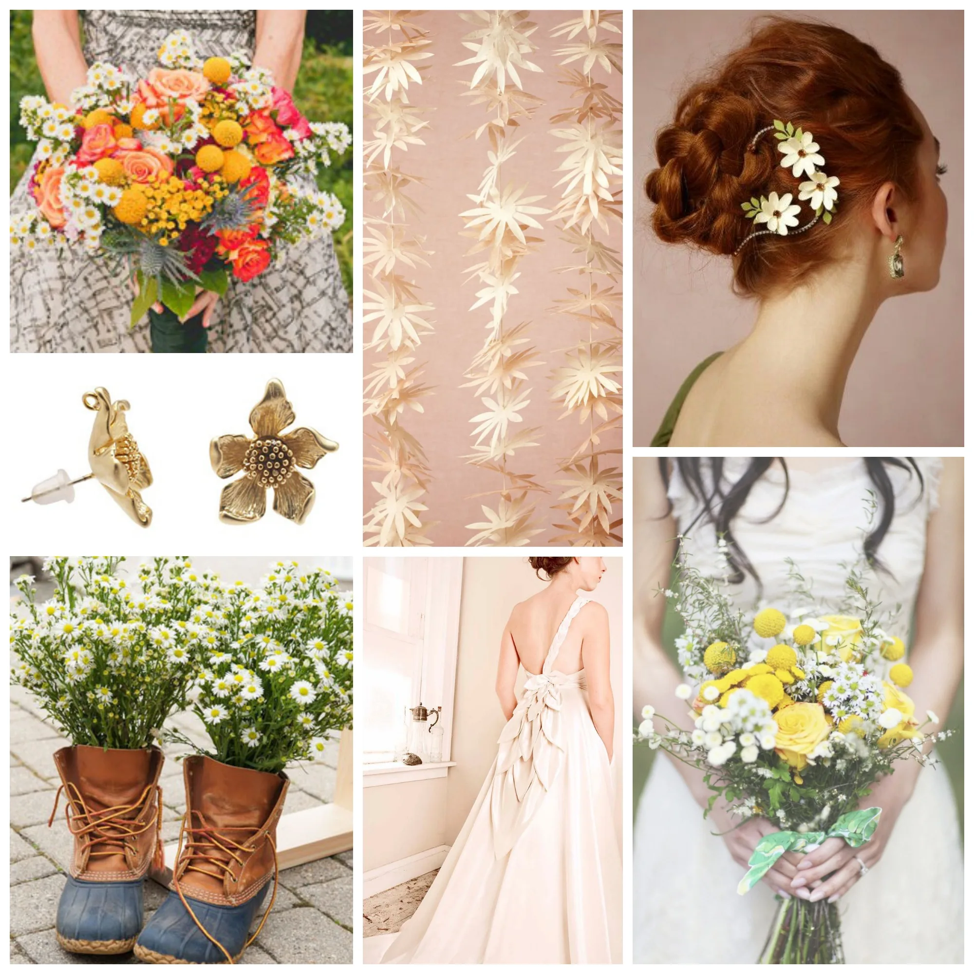 Aster Collage