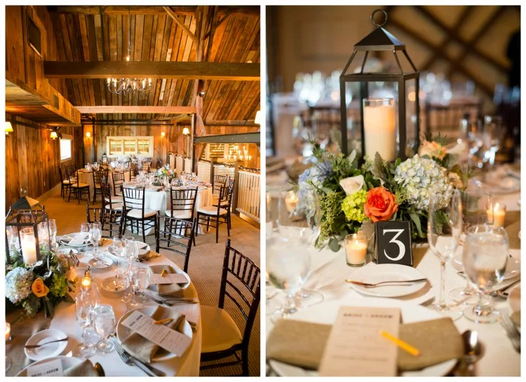 Tricia McCormack Photography